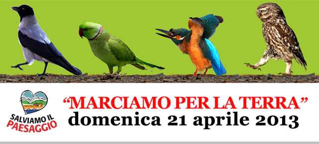 20130328_marciaperlaterra