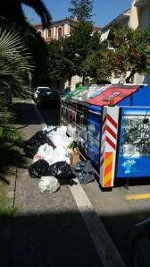 1491586_10202593564585088_1452913647647510787_n