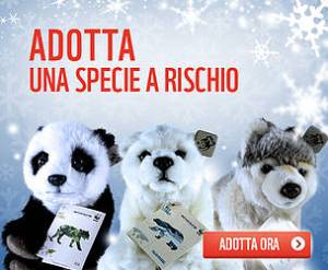 banner_adozioni_1_7928