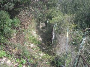 Terracina Minchella 2015-01-04 Dopo(1)