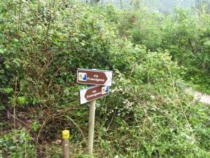 10003922_940518885980679_4418933090731691317_n