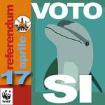 profilo_delfino_vettoriale_26920