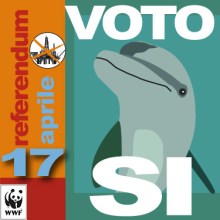 profilo_delfino_vettoriale