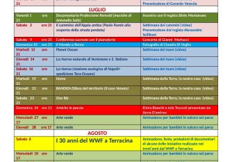 CartelloneEstate2016