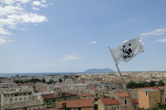 dsc04299_28832968045_o